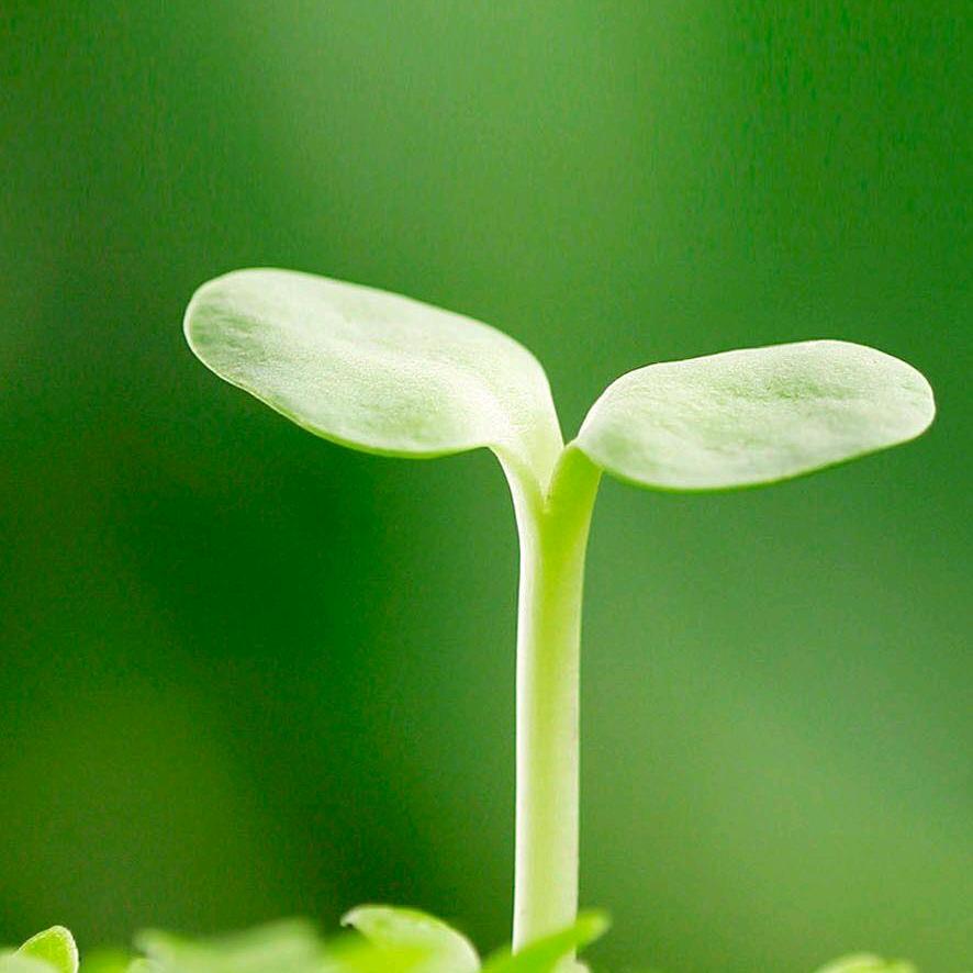 wangj二丫头🌹️🐒️🐮️