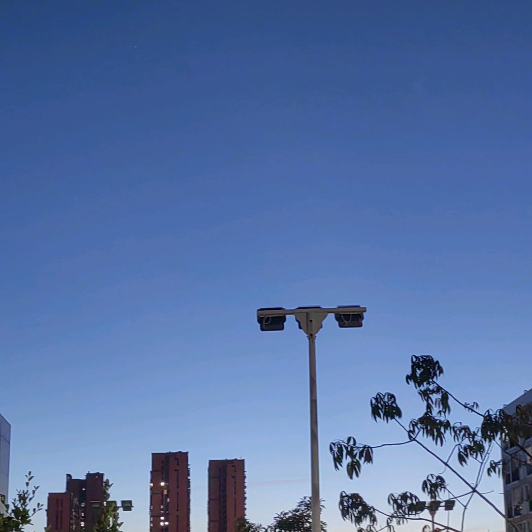 随意而安