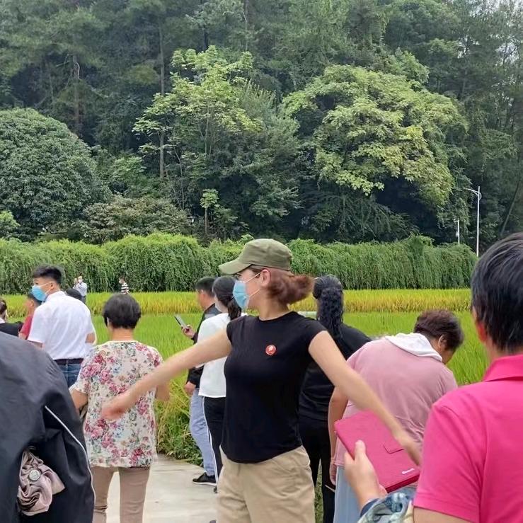 成成