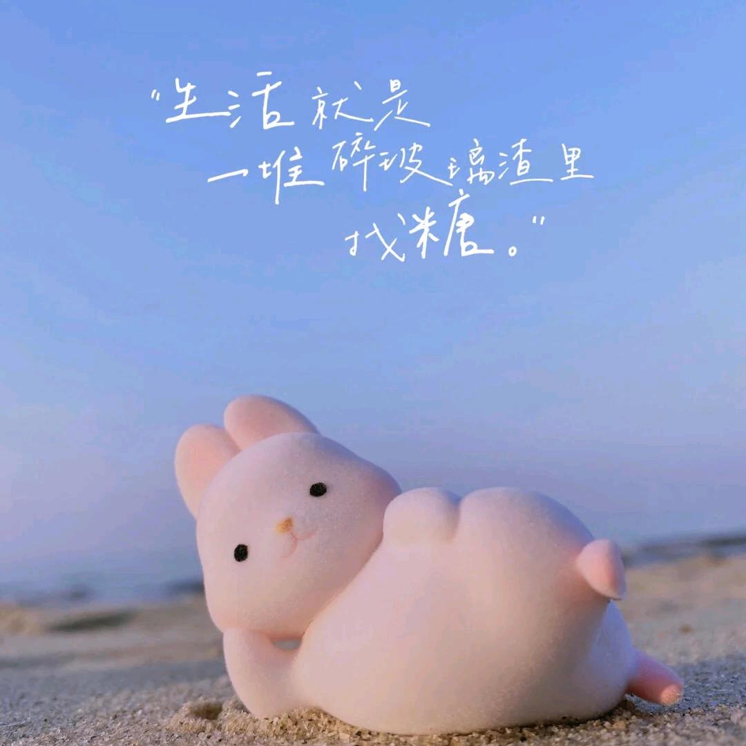 承诺克隆