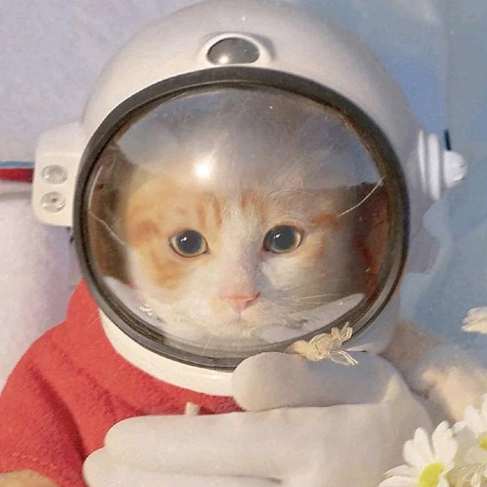 优