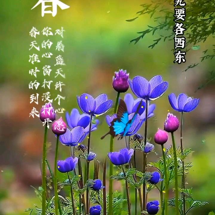 人和