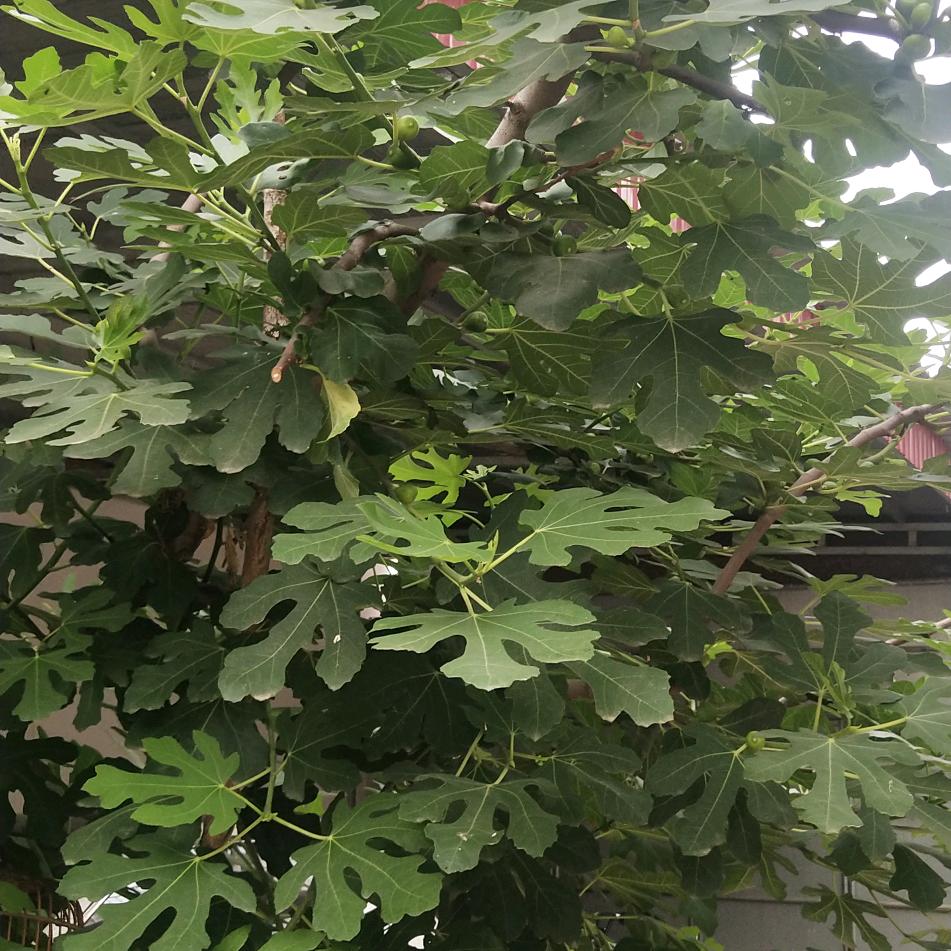 懂我的人