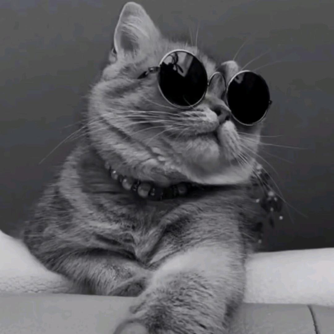 死心