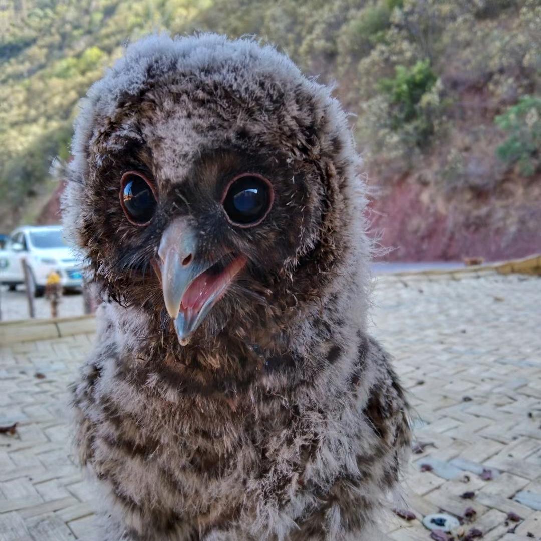 退伍不褪色