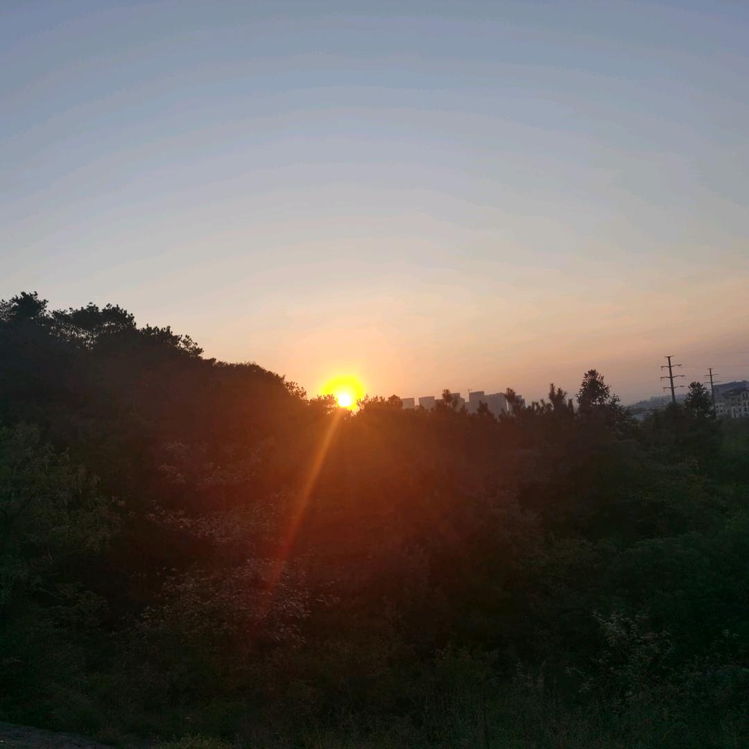 紫色烟花……