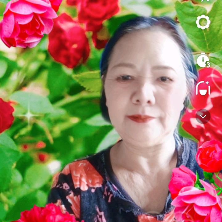 芙蓉花