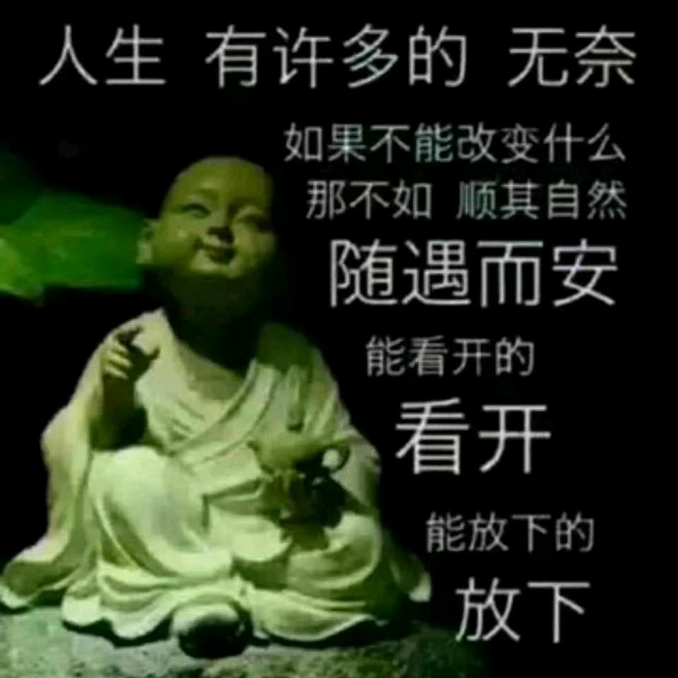 韩洪刚