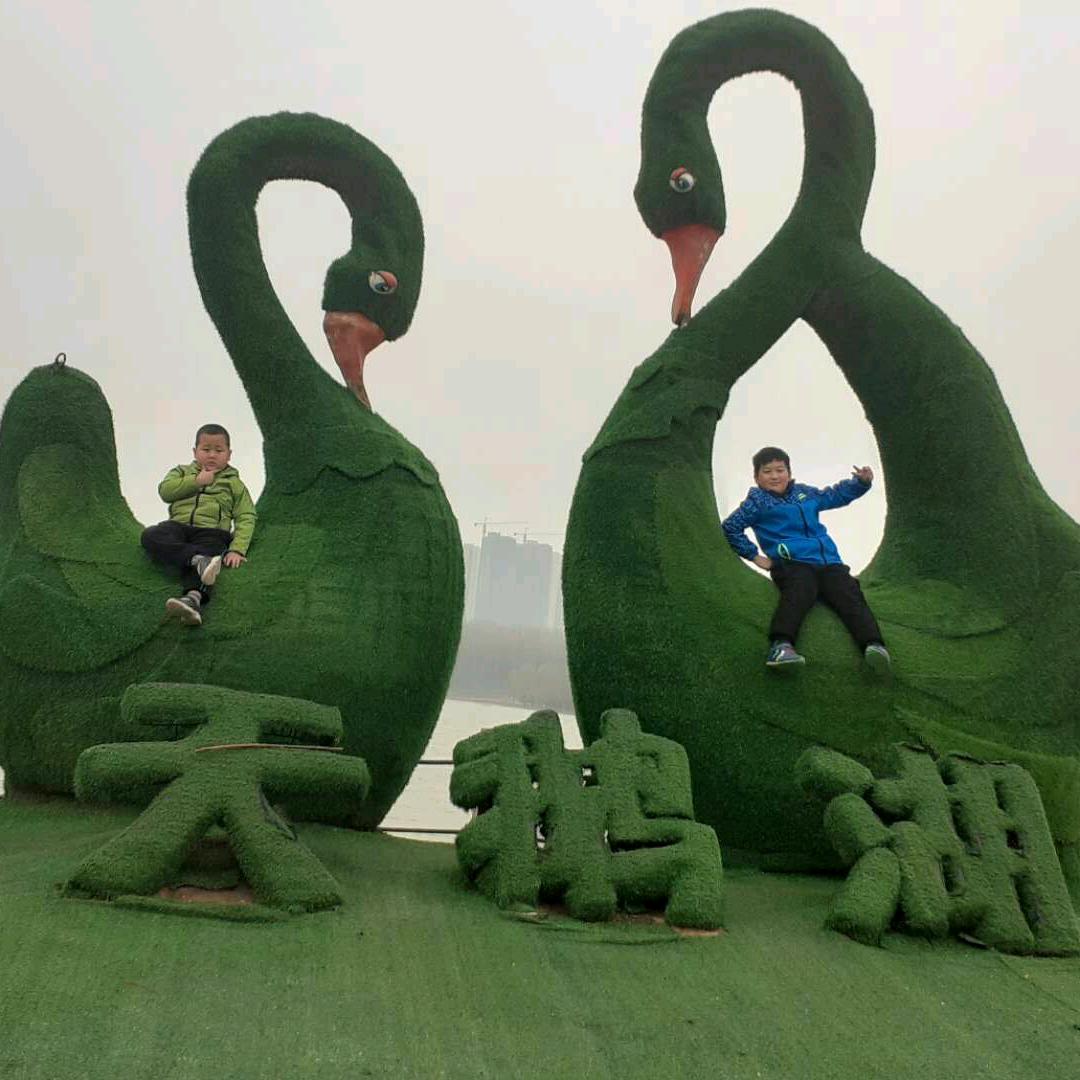 桃花红💔