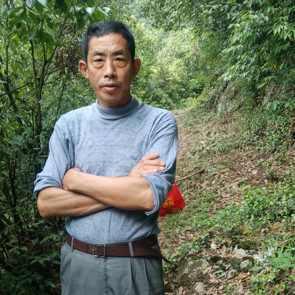 大山里的养蜂人