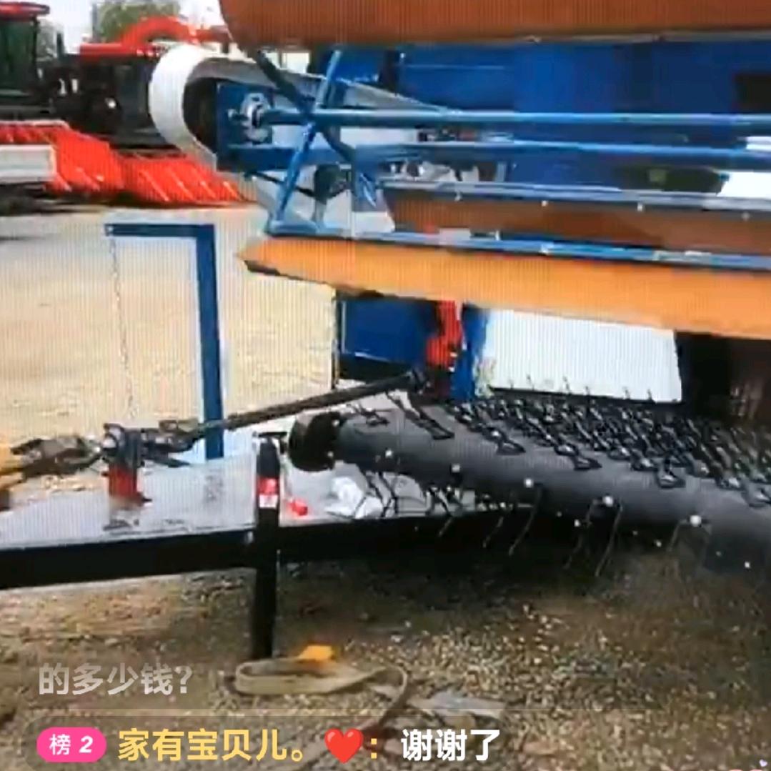 通河战兴