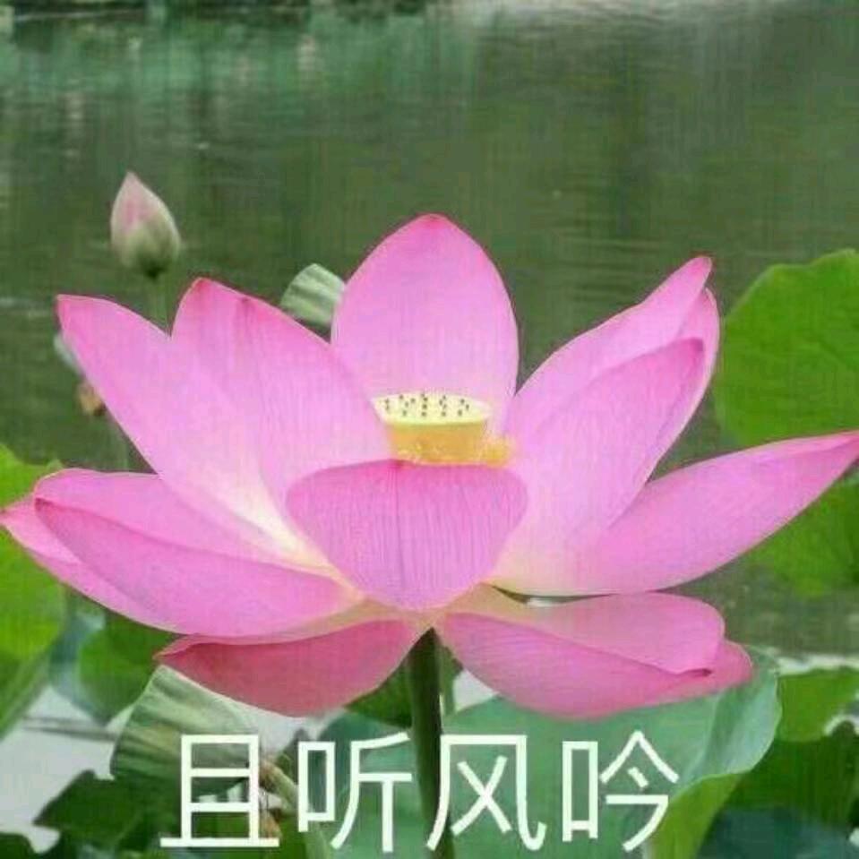 春雨-