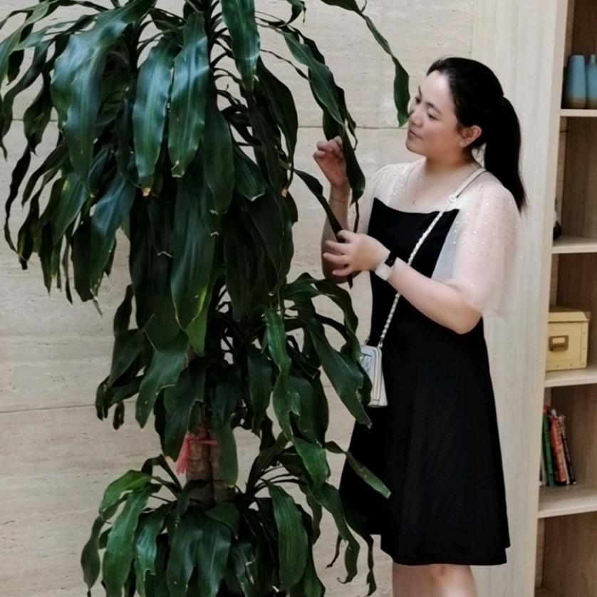 王家菇凉🌹