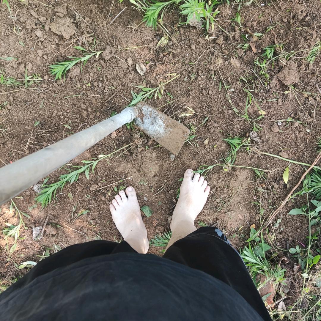 喝红酒的农民伯伯