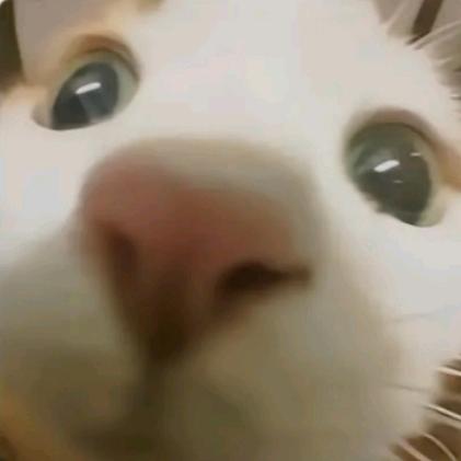 婷༩