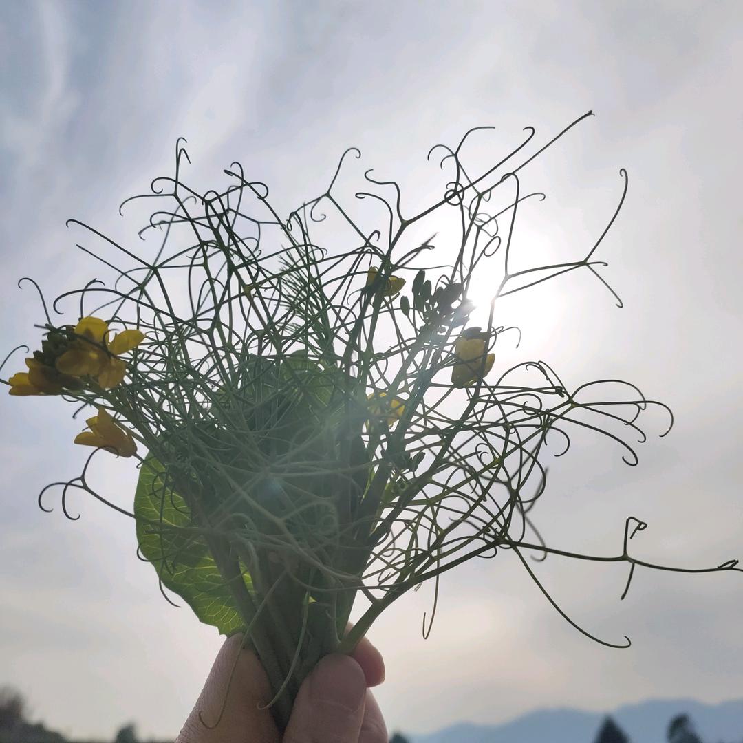 🌈七七七七七七七