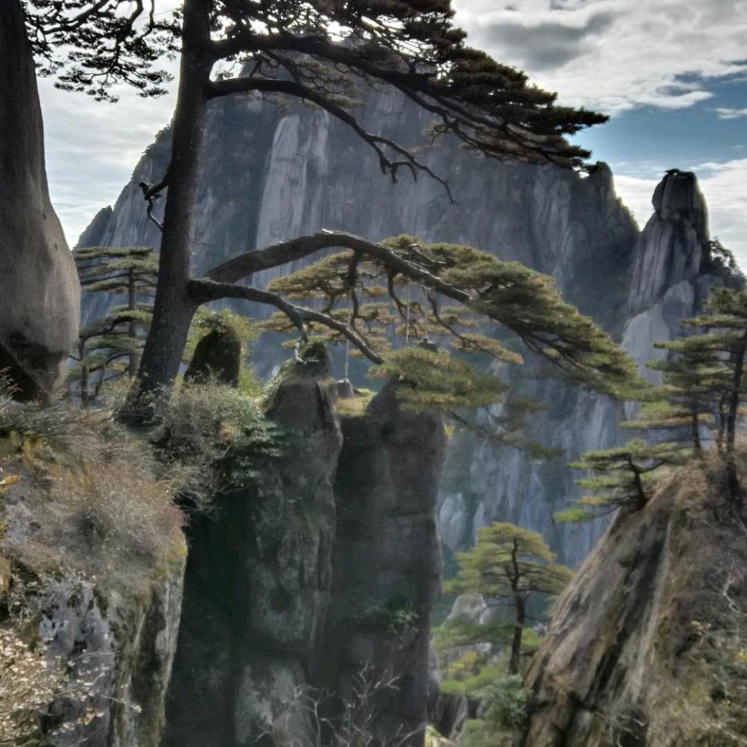 岁月如歌