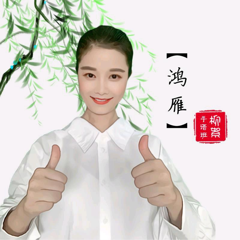 鸿雁    柳絮❤️手语