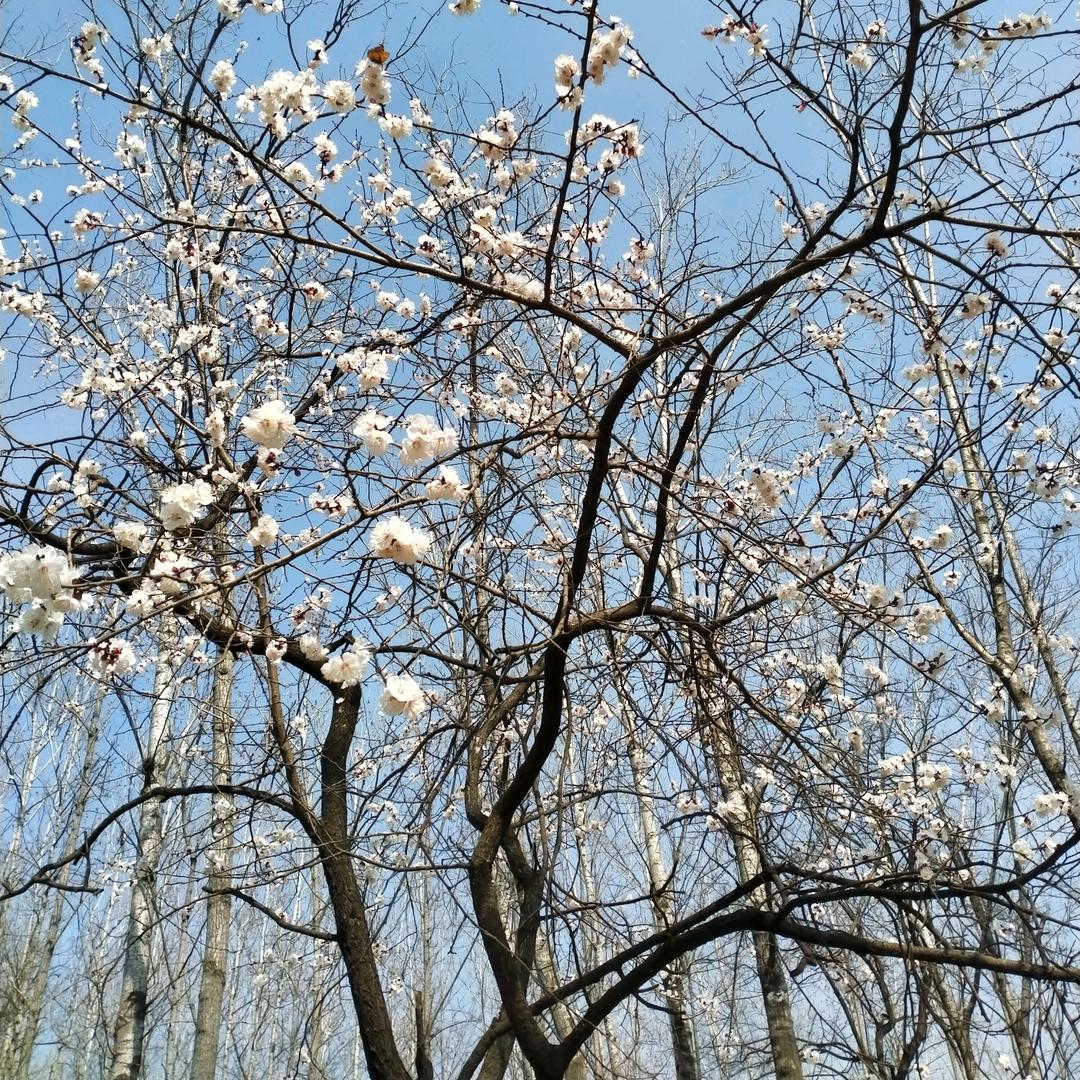 玥玥. ོ