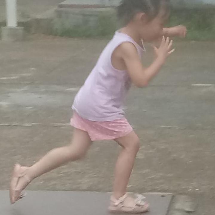 万箭穿心狸猫换太子