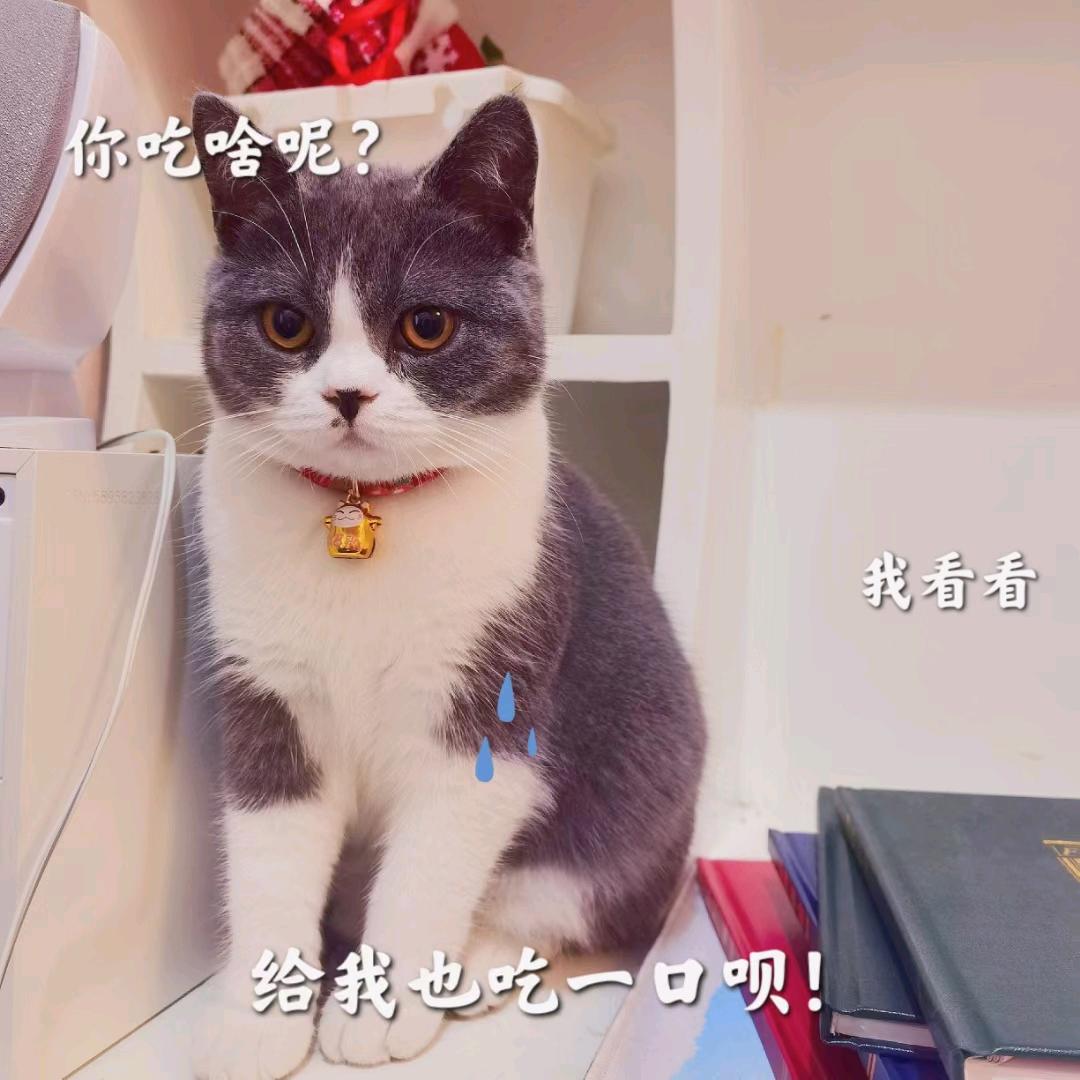 临颍县香克斯百货零售商行