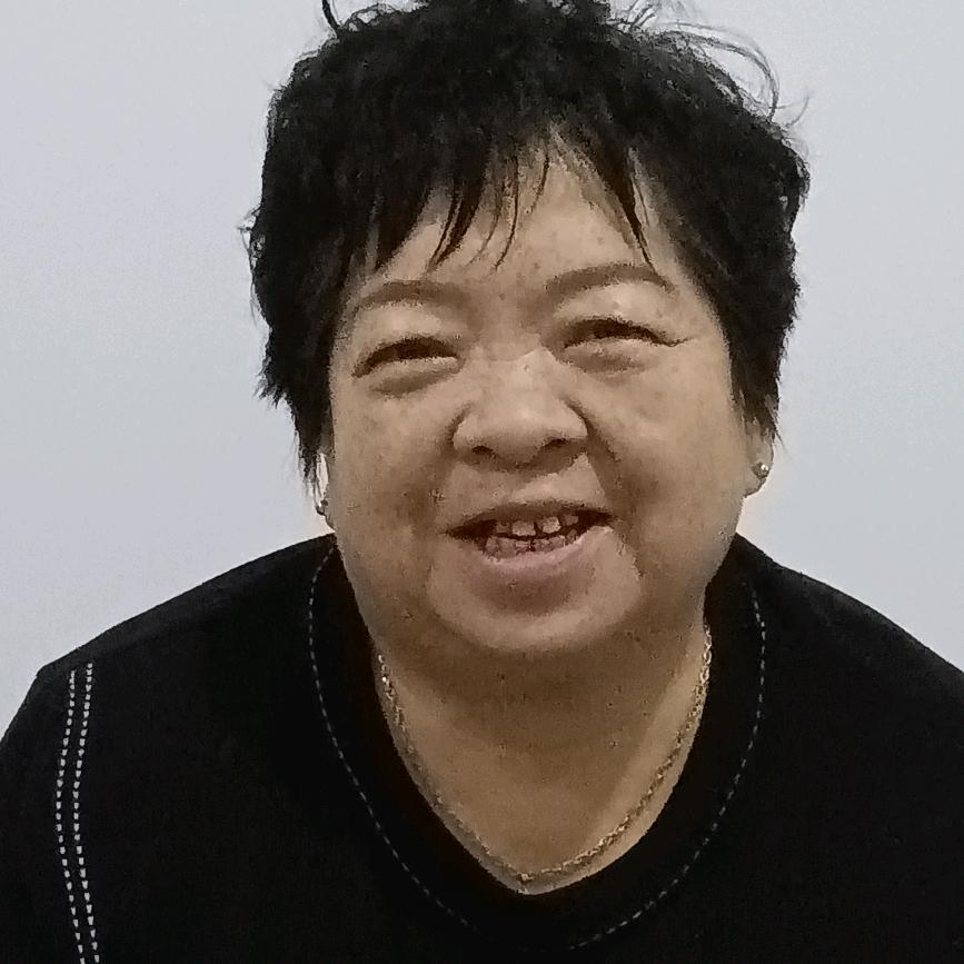 雪花飞舞李爱莲