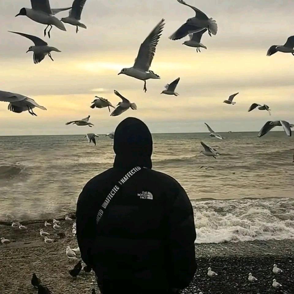 白云区整栋公寓（承接放盘）