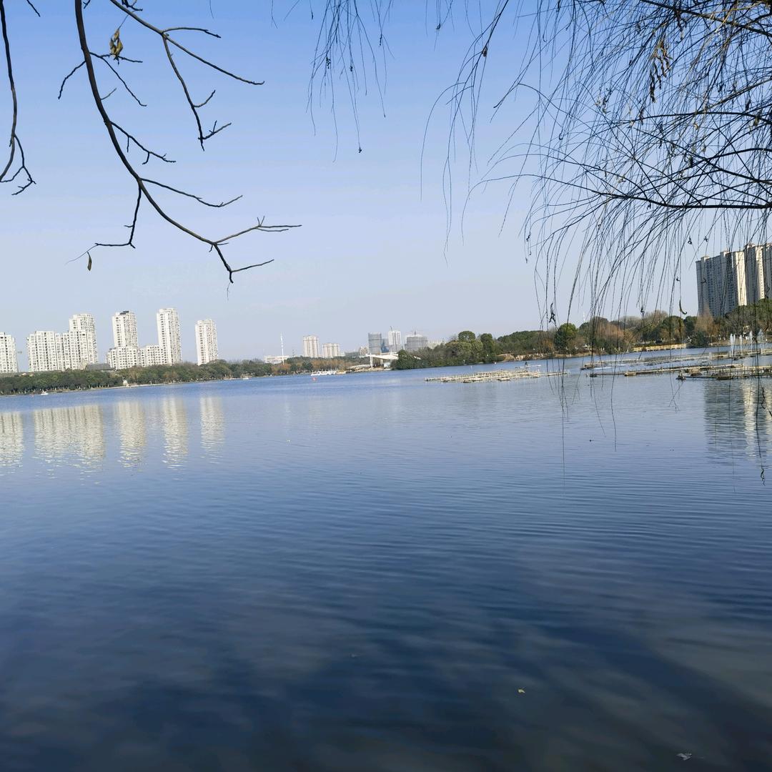 无问东西