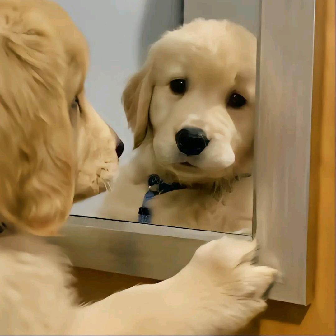 小陈ya～¹²¹⁹