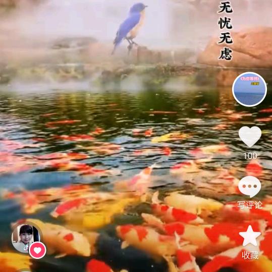 东方精选9块9