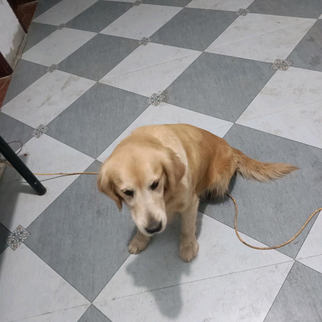 人生就是一半苦一半甜