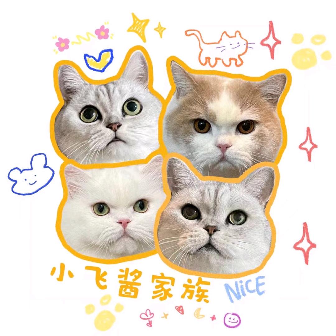 小飞酱家族
