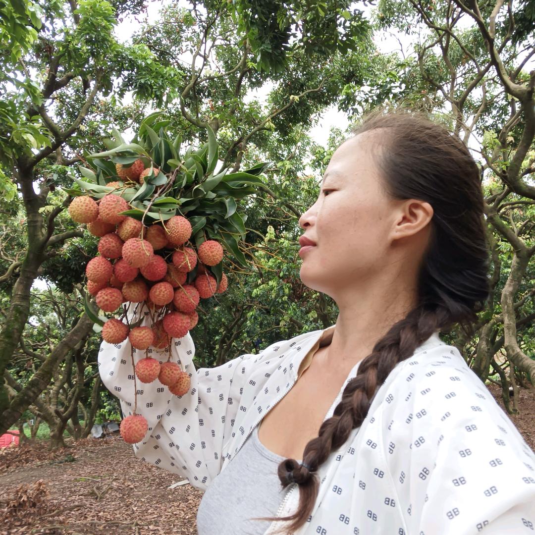 春天姐姐！在这里