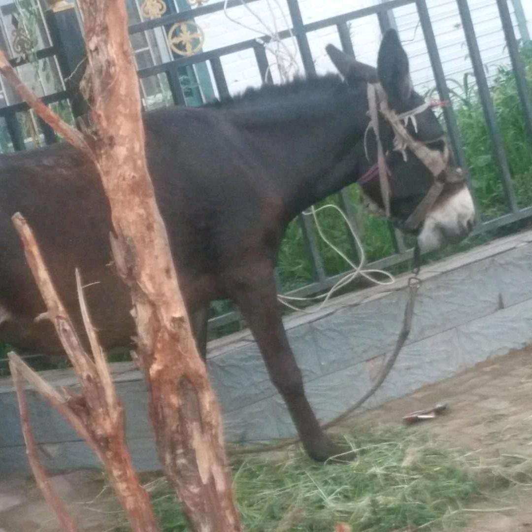 游乐场