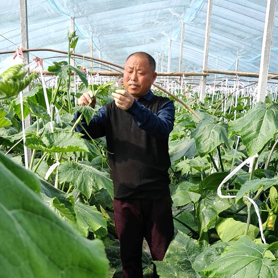 支军启家庭农场