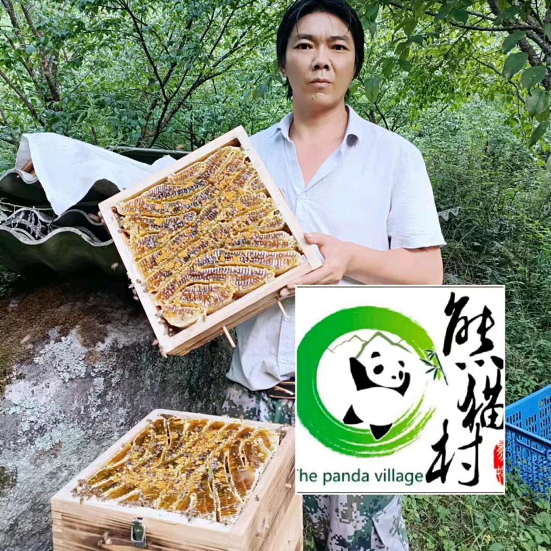 秦岭中蜂