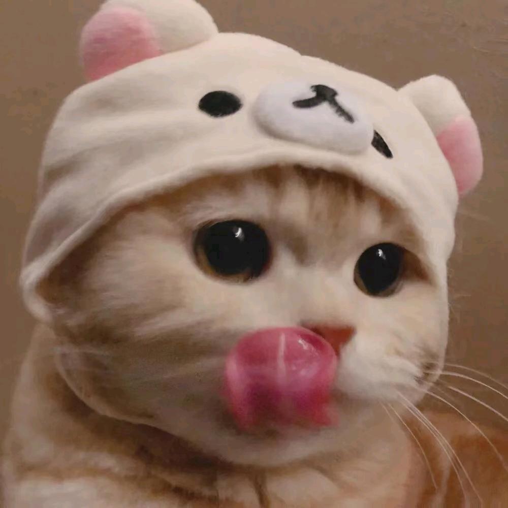 外高桥租售庞经理