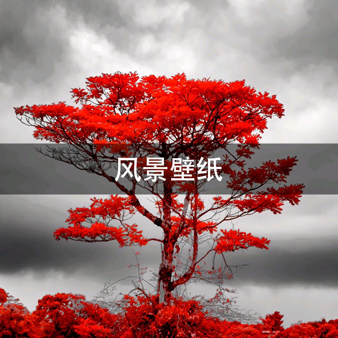 Z先生