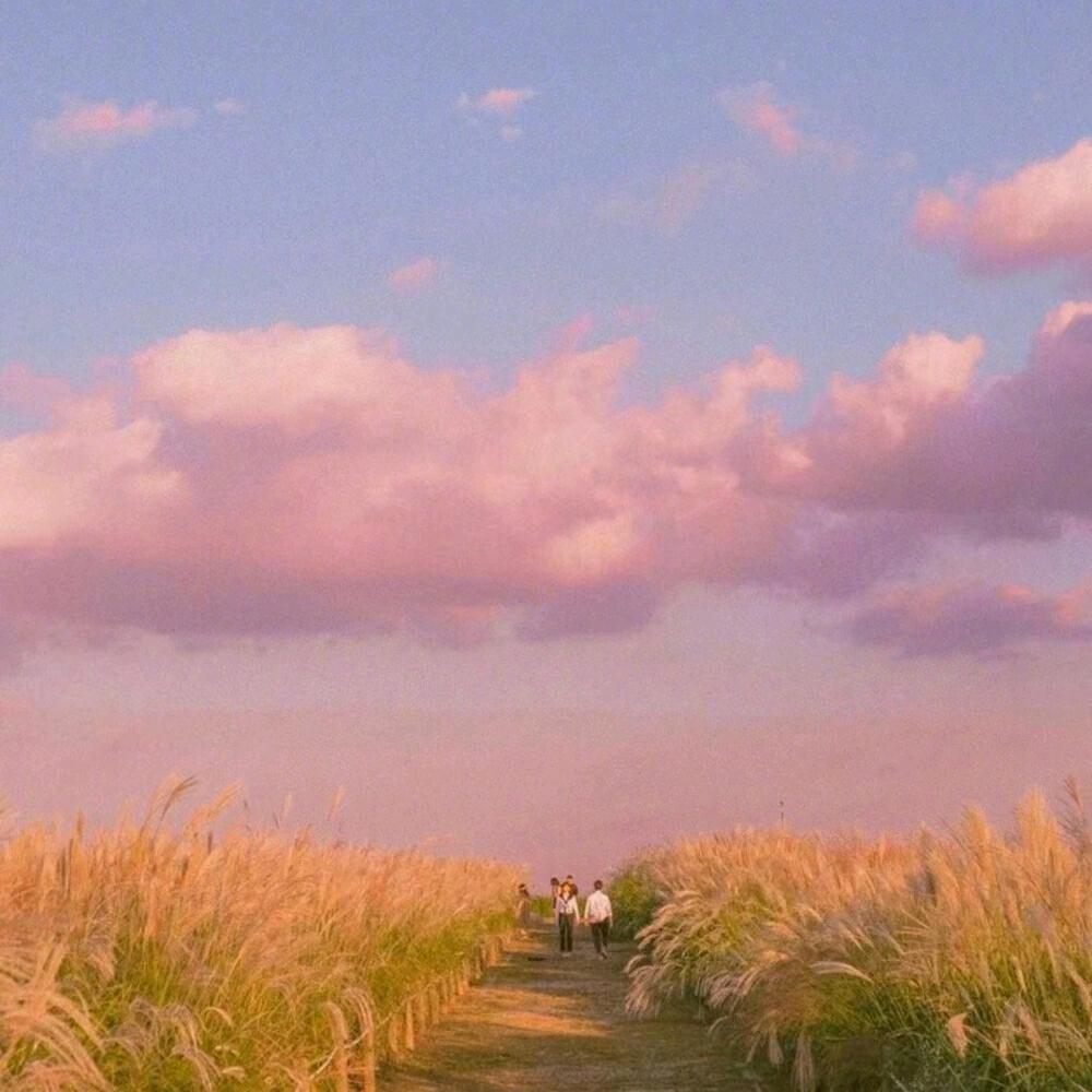 摄影大师探索版