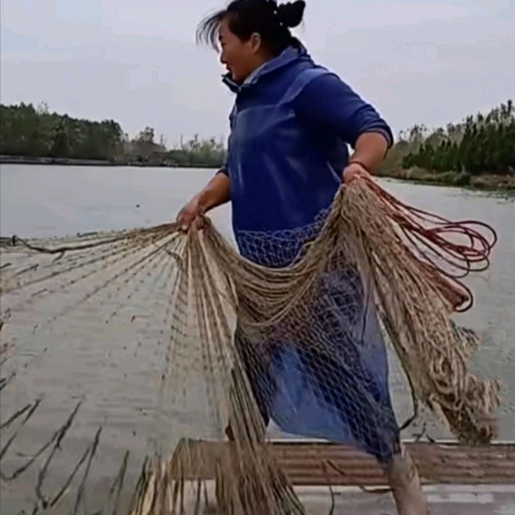 大华撒网