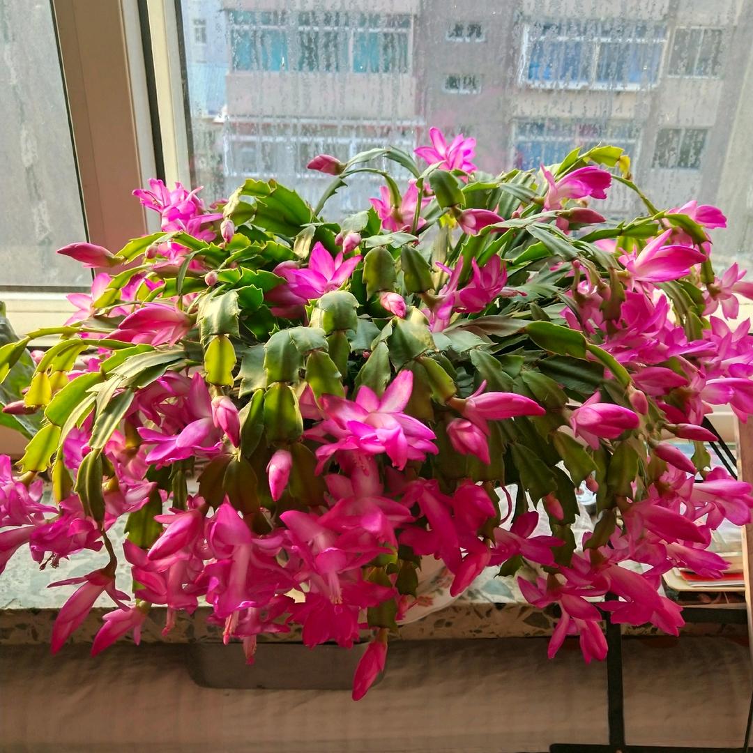 同合