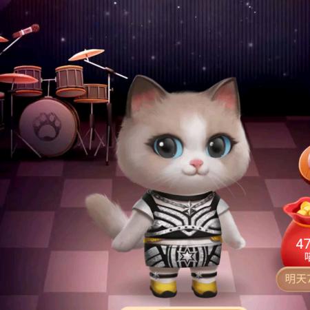 小猫姗姗