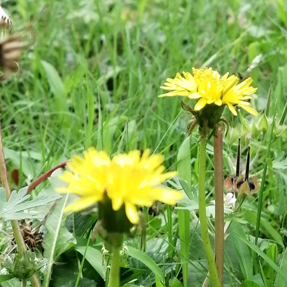 心语~用户4779575432313