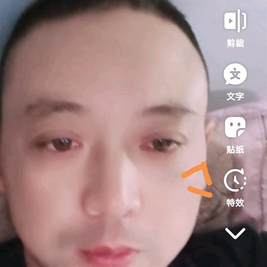 蔡蔡