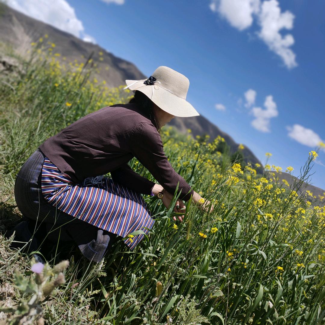 达普（好物在橱窗）👇👇👇