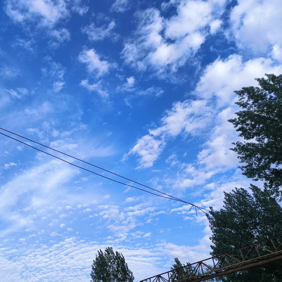 小玉手机