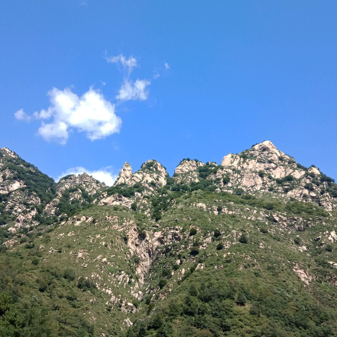 康臻张小凡