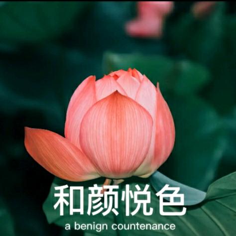 反季
