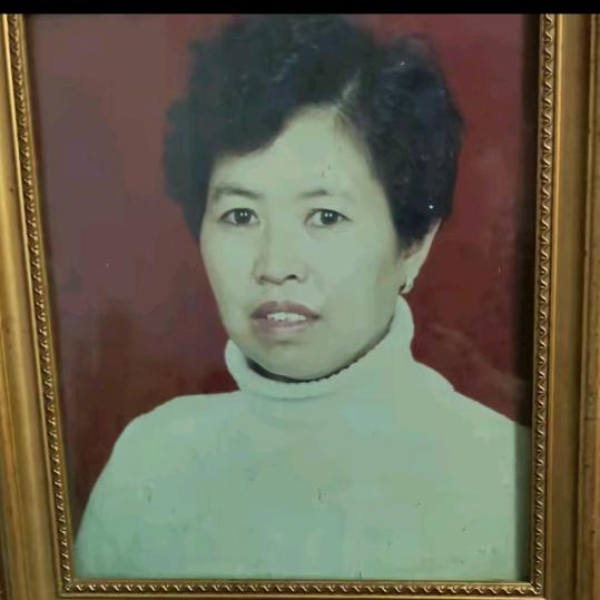 李家河苟大姐