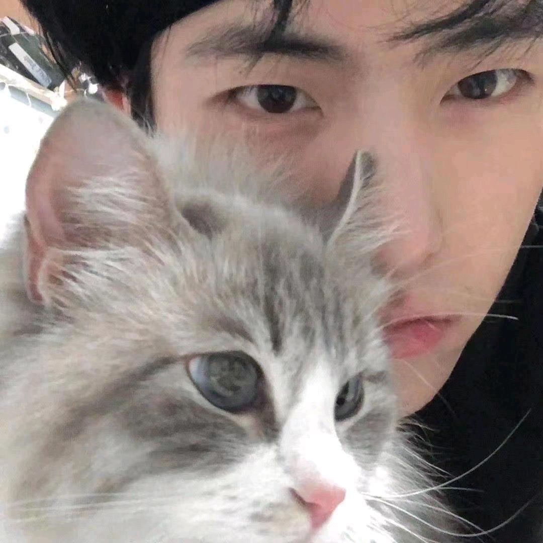 yangyy